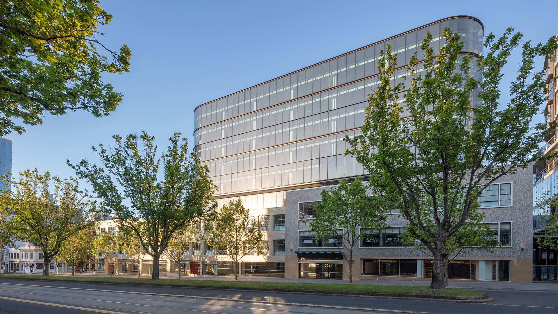 Elizabeth North Stage 1